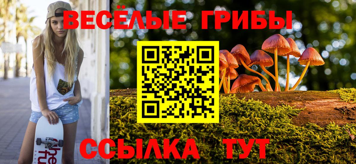Баксан  Псилоцибиновые грибы Cubensis  Вход с VPN 