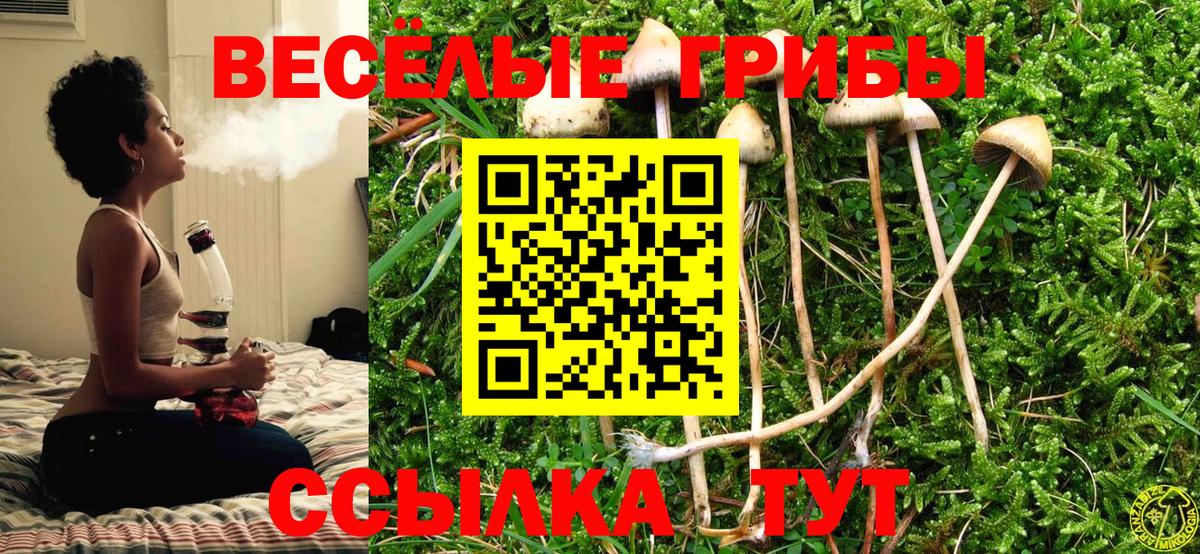 Галлюциногенные грибы Psilocybine cubensis Баксан